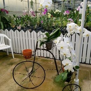 Meet your Posher, Gitana